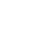 Police Badge Icon